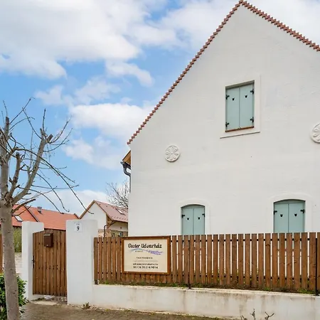 Oszter House With Pool - Happy 펜션